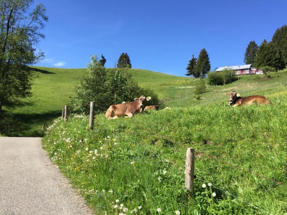 Sehnsucht-Allgaeu Oberstaufen Kültér fotó